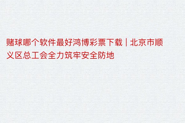 赌球哪个软件最好鸿博彩票下载 | 北京市顺义区总工会全力筑牢安全防地