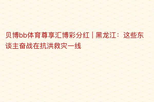 贝博bb体育尊享汇博彩分红 | 黑龙江：这些东谈主奋战在抗洪救灾一线