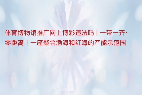 体育博物馆推广网上博彩违法吗 | 一带一齐·零距离丨一座聚会渤海和红海的产能示范园