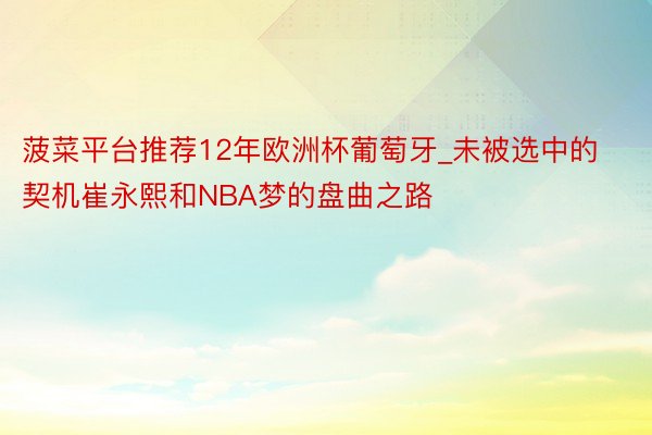 菠菜平台推荐12年欧洲杯葡萄牙_未被选中的契机崔永熙和NBA梦的盘曲之路