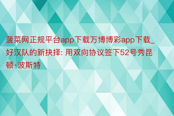 菠菜网正规平台app下载万博博彩app下载_好汉队的新抉择: 用双向协议签下52号秀昆顿·波斯特